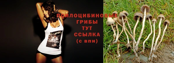 меф Алзамай